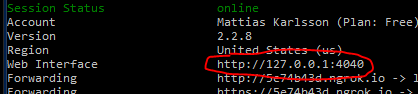 ngrok web interface url